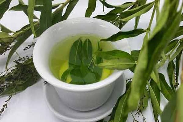 تصویر 5 از قیمت خرید به لیمو خشک + فروش ویژه